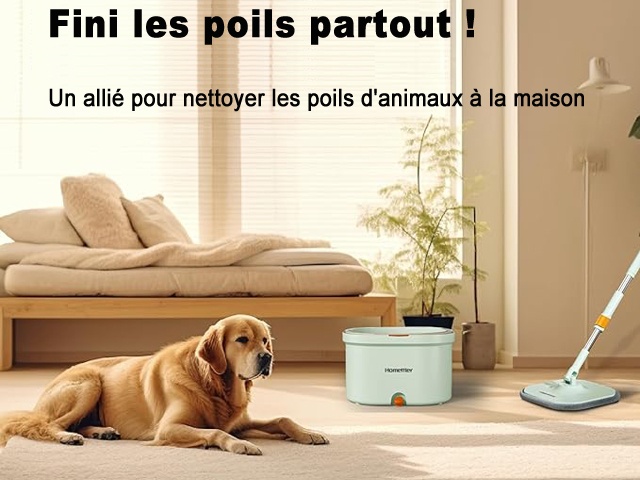 31842b06-bb10-4c24-96d5-692940e8af20