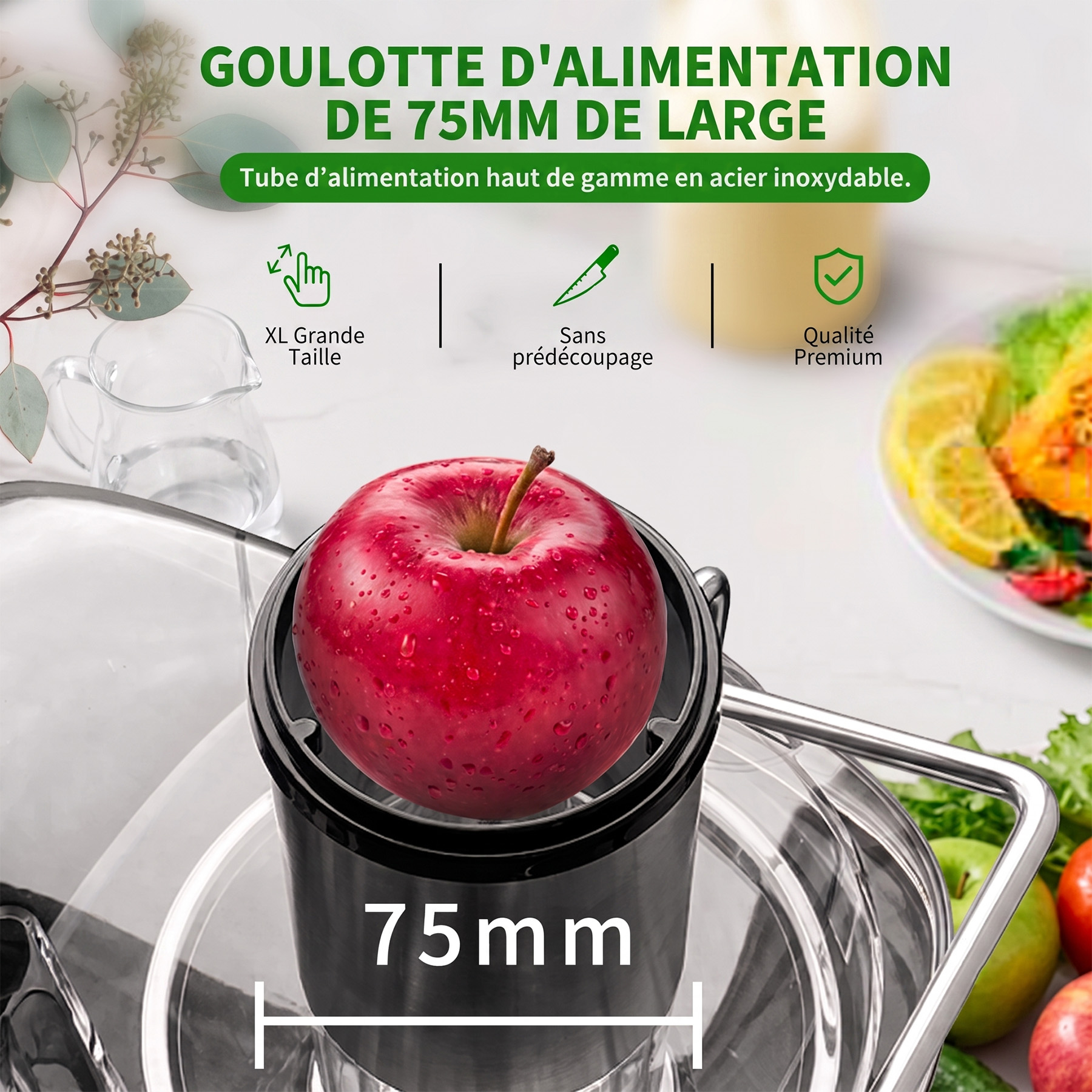 EXTRACTEUR DE JUS ET MIXEUR 4 EN 1 — 800W — photo 4
